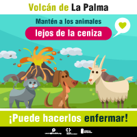 Animales---200X200