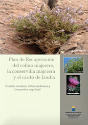 Plan de Recuperación del colino majorero, la conservilla majorera y el cardo de Jandía
