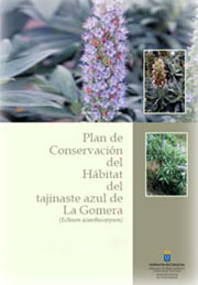 Plan de Conservación del Hábitat del tajinaste azul de La Gomera