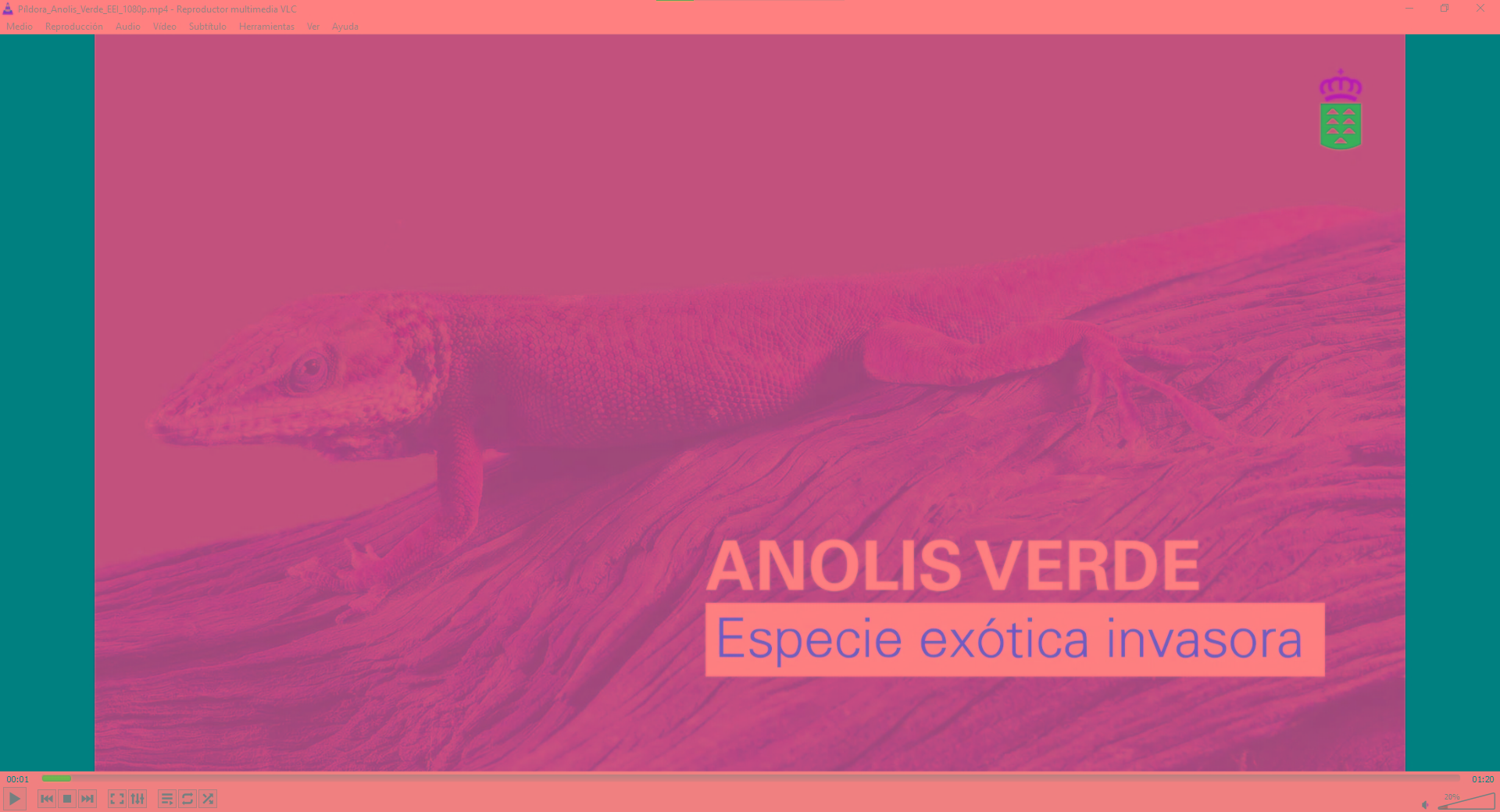 Píldora Anolis verde
