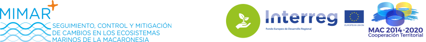 logo-mimar-v2
