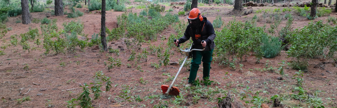 Formación Consejería de Agricultura Ganadería y Pesca