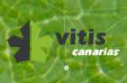 Vitis Canarias