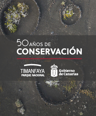 Inauguración institucional del 50 Aniversario